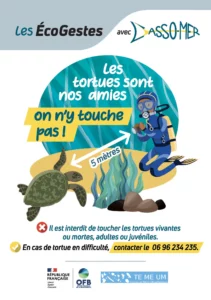 Les eco gestes à avoir avec les Tortues marines !