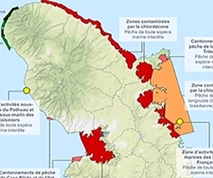 Les zones interdites à la pêche en Martinique